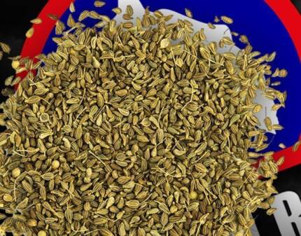 Semi di anice (500 g)