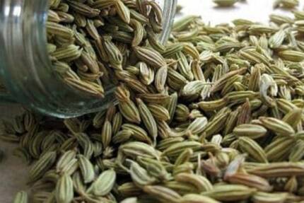 Semi di finocchio (500 g)