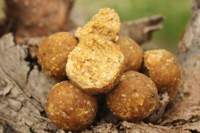 Crazy Scopex 20 mm | SPEDIZIONE GRATIS - immagine 2