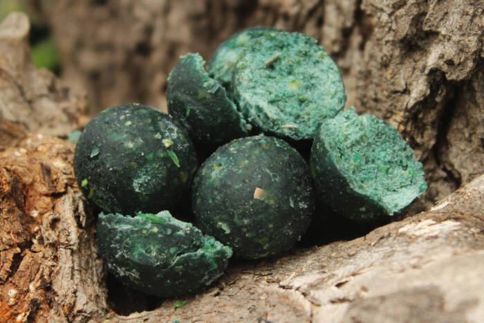 Crazy Spice 20 mm | SPEDIZIONE GRATIS - immagine 2