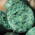 Crazy Spice 20 mm | SPEDIZIONE GRATIS