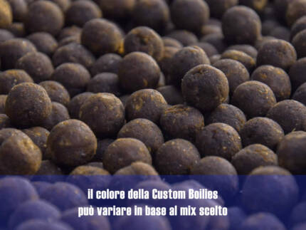 Custom Boilies 10 Kg